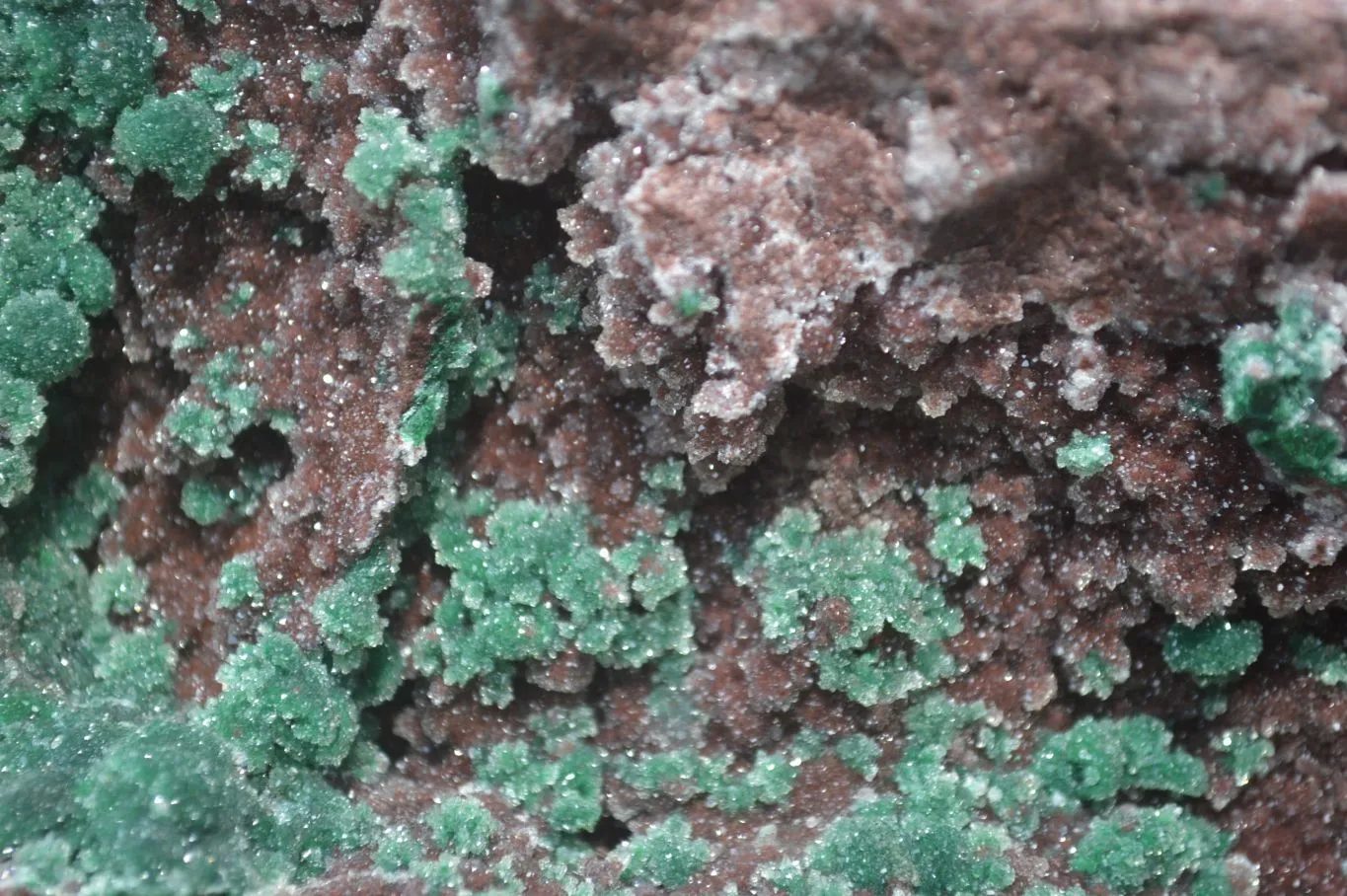 Natural Ball Malachite On Red Dolomite Matrix Specimen x 1 From Likasi, Congo