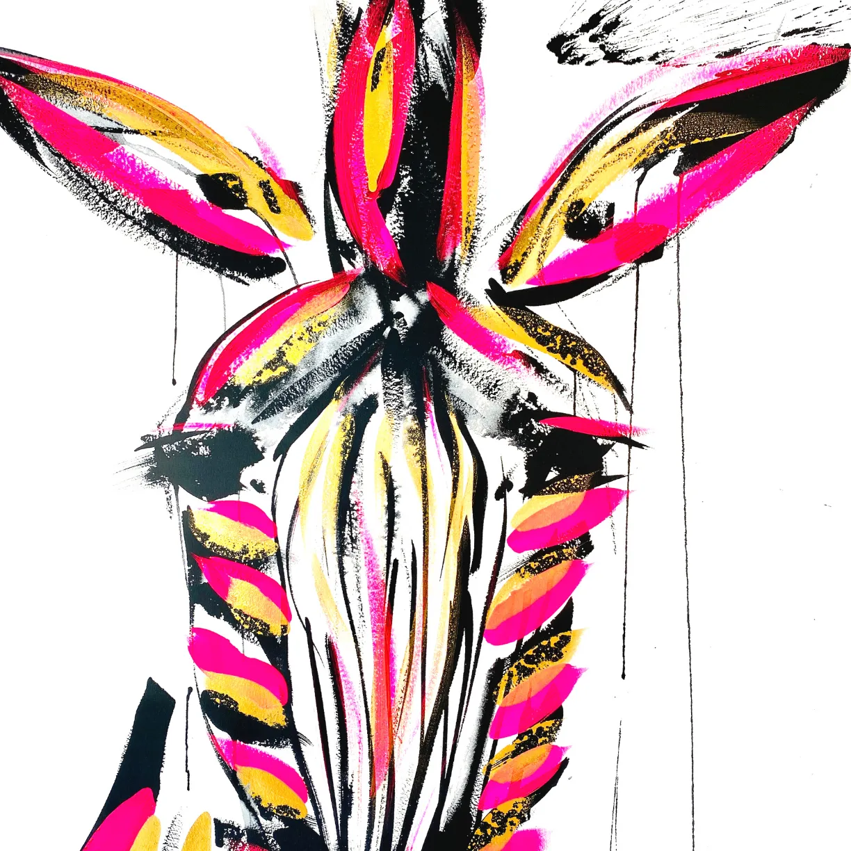 Zulu, Artist Edition